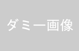 タイトルが入ります（確認用）